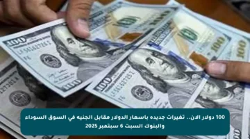 100 دولار الآن.. تغيرات جديدة بأسعار الدولار مقابل الجنيه في السوق السوداء والبنوك السبت 6 سبتمبر 2025